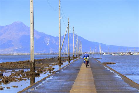 ながべたかいしょうろ|長部田海床路 (ながべたかいしょうろ) 